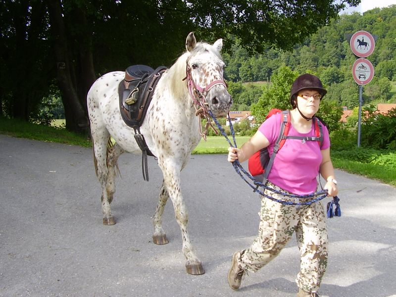 Mädchen führt ein Pferd